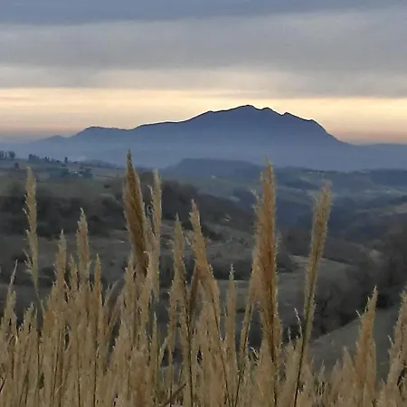 Corte Buenavista Bed & Breakfast Magliano Sabina