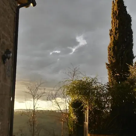 Corte Buenavista *