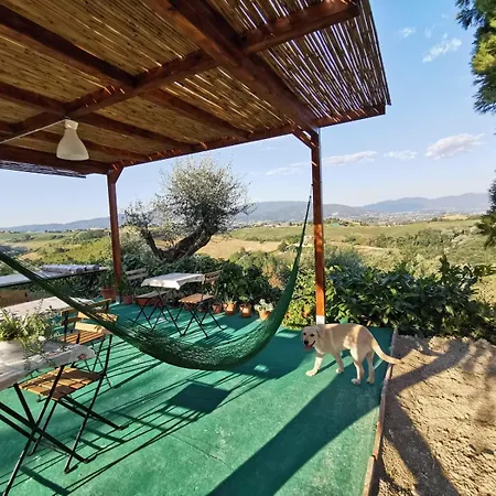 Corte Buenavista Bed & Breakfast Magliano Sabina